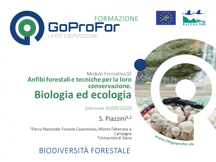 Anfibi forestali e tecniche per la loro conservazione